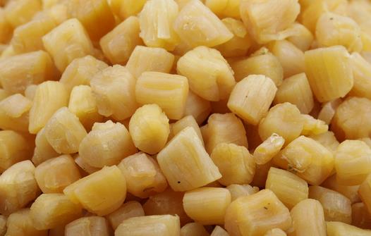 補腎的食物有哪些？12種天然補腎圣品推薦