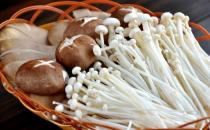 7種蘑菇的家常烹飪竅門(mén)