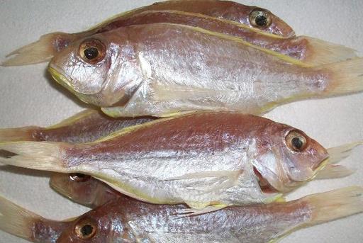 什么是冰鮮食品？如何區(qū)分冰鮮魚和冰凍魚？