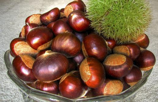 女性經(jīng)期吃什么食物好？