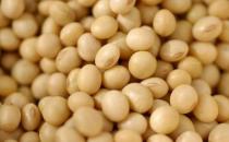 吃什么對乳房好？保護乳房的9種食物推薦
