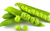 吃出白嫩??！10種蔬菜不能少