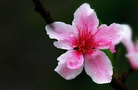 祛斑秘方，拯救斑點(diǎn)臉蛋