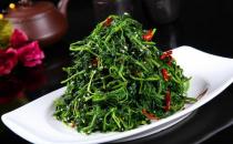 憶苦思甜 吃野菜也要選對(duì)