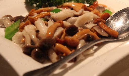 素食真的能讓人長壽嗎？