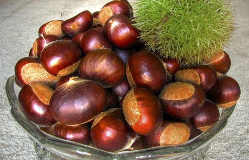 六種養(yǎng)生潤(rùn)肺食物