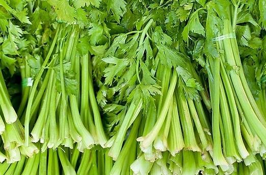 患冠心病吃哪些蔬菜好？