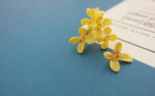 桂花的品種有哪些？
