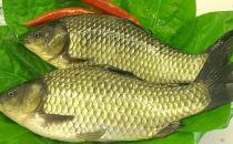 多吃魚好處多 春季吃哪種魚最好？