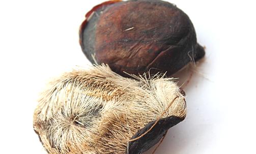 盤(pán)點(diǎn)古代最殘忍的避孕方式