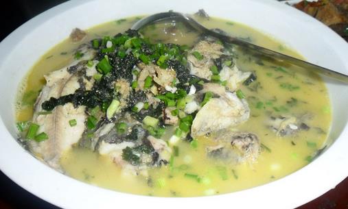 春季吃什么魚最營養(yǎng)？