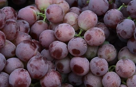 孕婦吃什么補(bǔ)血好？補(bǔ)血的食物與食療方