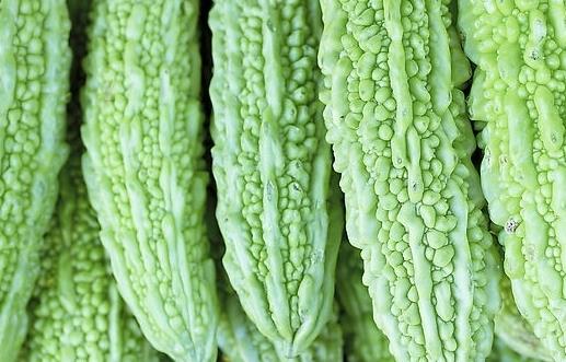 兒童吃苦味菜造血促食欲 苦味菜有哪些？