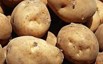 結(jié)石病人不能吃哪些食物？