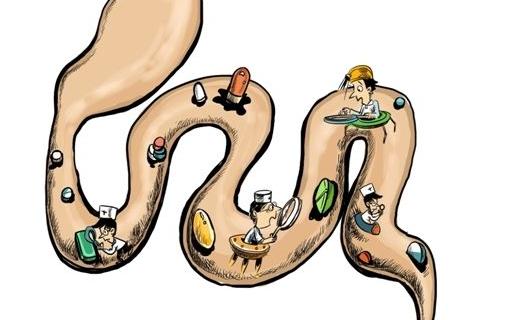 男性進(jìn)補固然重要但勿忘排毒