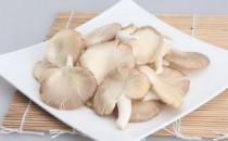 吃鳳尾菇好嗎？鳳尾菇怎么做好吃？
