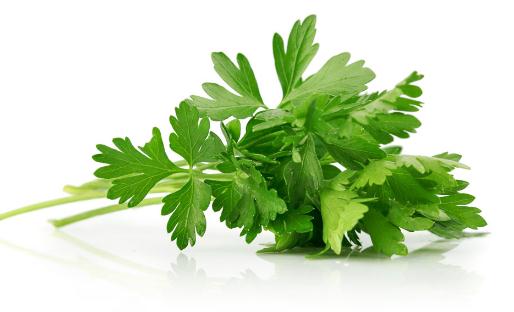 芹菜是怎樣的？芹菜的做法