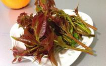 如何挑選香椿芽？香椿芽怎么吃最健康？