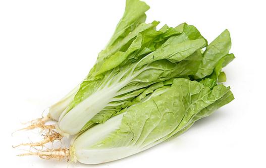 小白菜怎么做？小白菜的簡(jiǎn)介