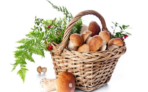盤點(diǎn)那些藏在皮中的營(yíng)養(yǎng)食物