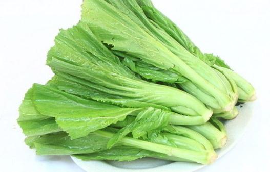 葉用芥菜是什么？葉用芥菜怎么做？