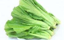 葉用芥菜是什么？葉用芥菜怎么做？