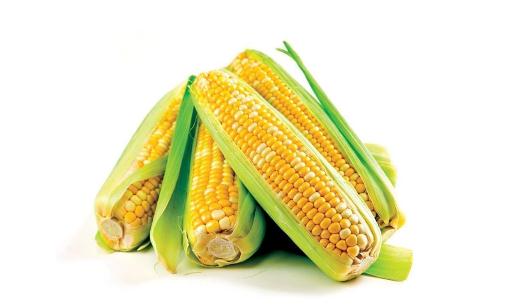 玉米是營養(yǎng)價值最高的主食