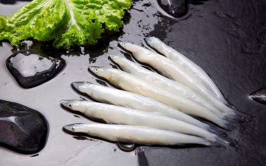 銀魚(yú)的營(yíng)養(yǎng)與功效作用-銀魚(yú)的適宜人群