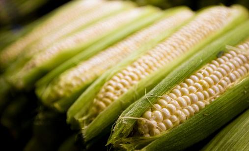 玉米含有甜蜜素 多食玉米有害嗎？