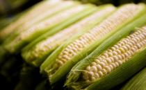 玉米含有甜蜜素 多食玉米有害嗎？
