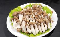鮮味會(huì)讓人胃口更好嗎？