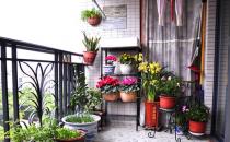 陽(yáng)臺(tái)怎么種花最合適？