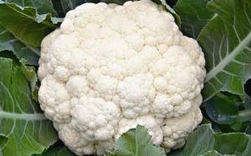 【菜花】花椰菜_花菜_菜花的營養(yǎng)價值_菜花怎么做好吃_菜花的做法大全 【菜花】花椰菜_花菜_菜花的營養(yǎng)價值_菜花怎么做好吃_菜花的做法大全