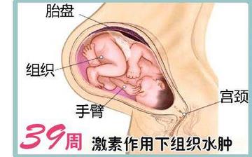 【懷孕39周】懷孕39周發(fā)育指標檢查_懷孕39周胎兒變化_媽媽狀態(tài)_懷孕39周注意事項 【懷孕39周】懷孕39周發(fā)育指標檢查_懷孕39周胎兒變化_媽媽狀態(tài)_懷孕39周注意事項