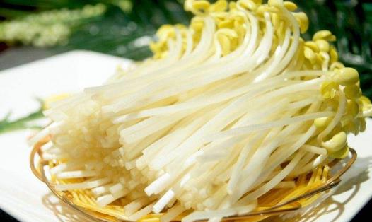 早春季節(jié)吃啥能養(yǎng)生？