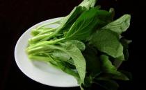 盤(pán)點(diǎn)能夠清熱祛濕的食物
