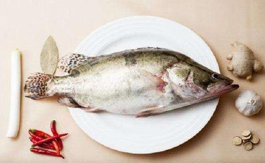 不同種類(lèi)的魚(yú)該如何烹調(diào)？