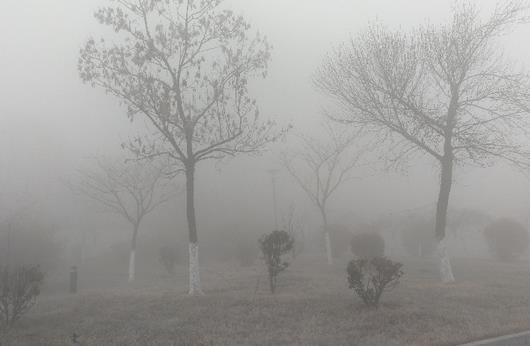 霧霾天應該怎鍛煉