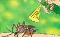 秋季蚊子毒？教你如何有效防蚊