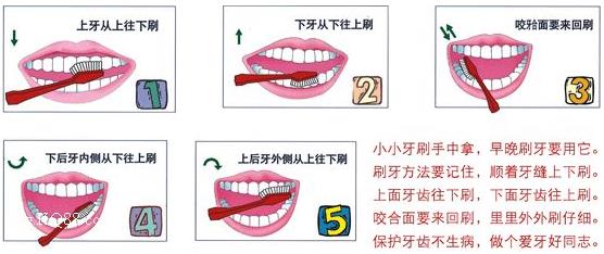 刷牙前用牙刷沾水？教你正確刷牙方法