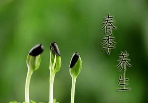 一年之計在于春，不得不知的春季養(yǎng)生常識