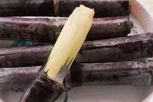 甘蔗的吃法 霉變發(fā)紅的甘蔗不能吃