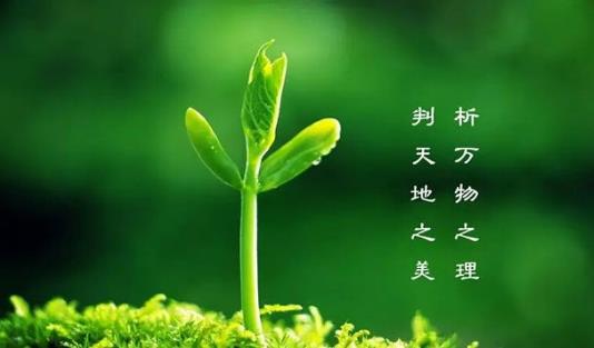 植樹節(jié)是幾月幾日？植樹節(jié)的由來和意義