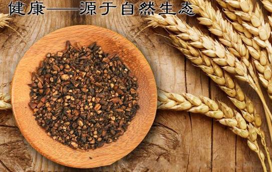 什么人不能喝大麥茶呢？ ?