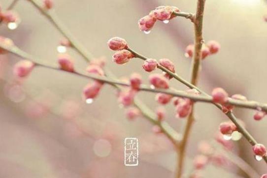 2019年立春是農(nóng)歷幾月幾日 2019年立春時間