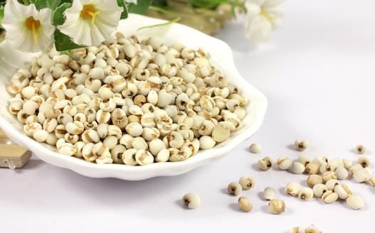 薏米吃對(duì)了除濕益氣，試試這幾個(gè)薏米的食療方