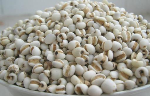 薏米吃對(duì)了除濕益氣，試試這幾個(gè)薏米的食療方