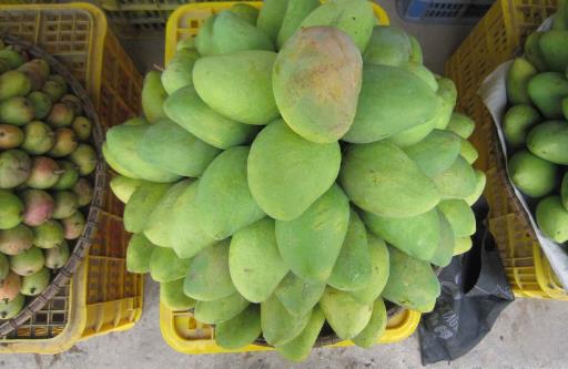 愛(ài)吃熱帶水果之王的芒果 這些方法能減少過(guò)敏帶來(lái)的傷害