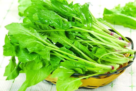 春季養(yǎng)生吃什么？這7種食物最適合春