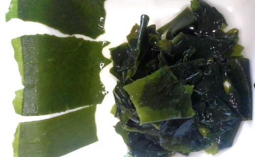 食物有助提高免疫力？9種食物不可錯(cuò)過！